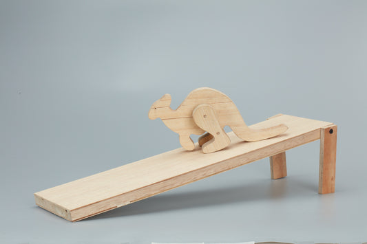 Sawyer, the Kangaroo